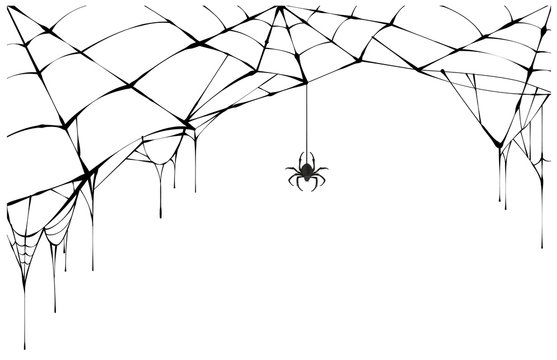 black spider and torn web. scary spiderweb of halloween symbol