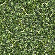 Seamless Tileable Natural Ground Field Texture Background