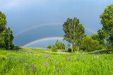 Fototapeta Tęcza - double rainbow in the blue cloudy sky over green meadow and a forest illuminated by the sun in the country side