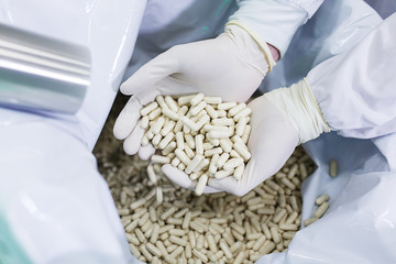 pharmacist in the chemical production laboratory holds in two palms in sterile gloves manufactured t