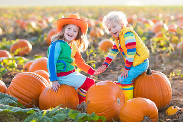 kids picking pumpkins on halloween pumpkin patch