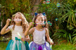 © Fotos 593 - Two happy beautiful little girls playing with soap bubbles on a summer nature, one girl is wearing a blue ears tiger accessories over her head and both girls wearing a princess dress in a blurred