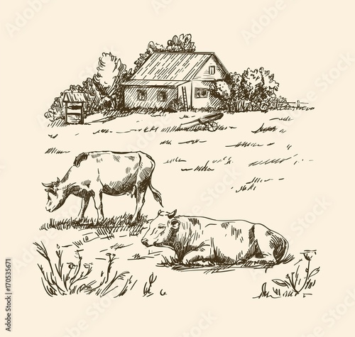 Obrazy rustykalny  wiejskie-domy-i-pola-uprawne