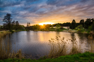 Wall Mural - Sunset over pond in Zalesie Dolne, Poland