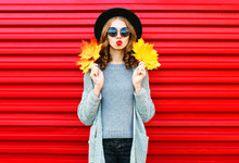 Fashion Autumn Portrait Woman With Yellow Maple Leaves On A Red Background