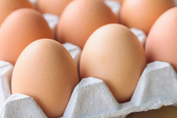 Fresh eggs in egg rack on wood table. Prepare chicken eggs for cooking or bakery on rustic wood table. Close up with selective focus concept fresh eggs with macro concept for background or wallpaper.