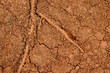 peat soil texture background