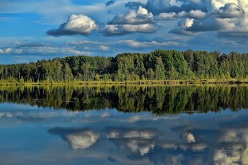 Wall Mural - forest and clouds and reflection in the lake