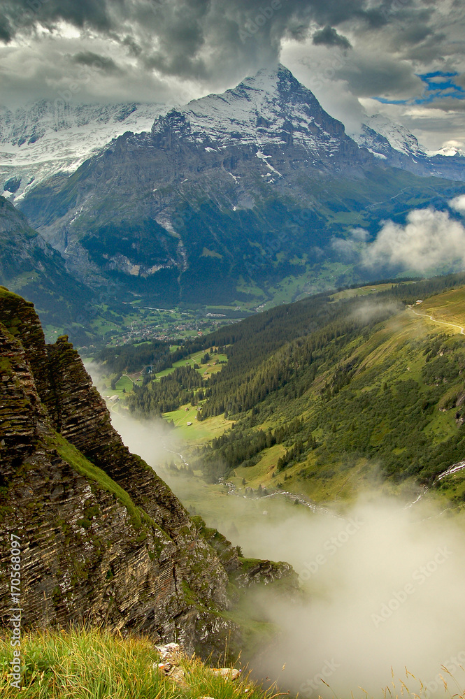 Grindelwald Alps - obrazy, fototapety, plakaty 