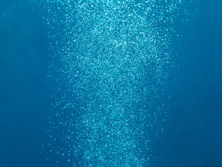 Wall Mural - air bubbles in the sea. under water