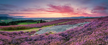 Panorama At Twilight Over Rothbury Heather, On The Terraces, Which Walk Offers Views Over The Coquet Valley To The Simonside And Cheviot Hills, Heather Covers The Hillside In Summer