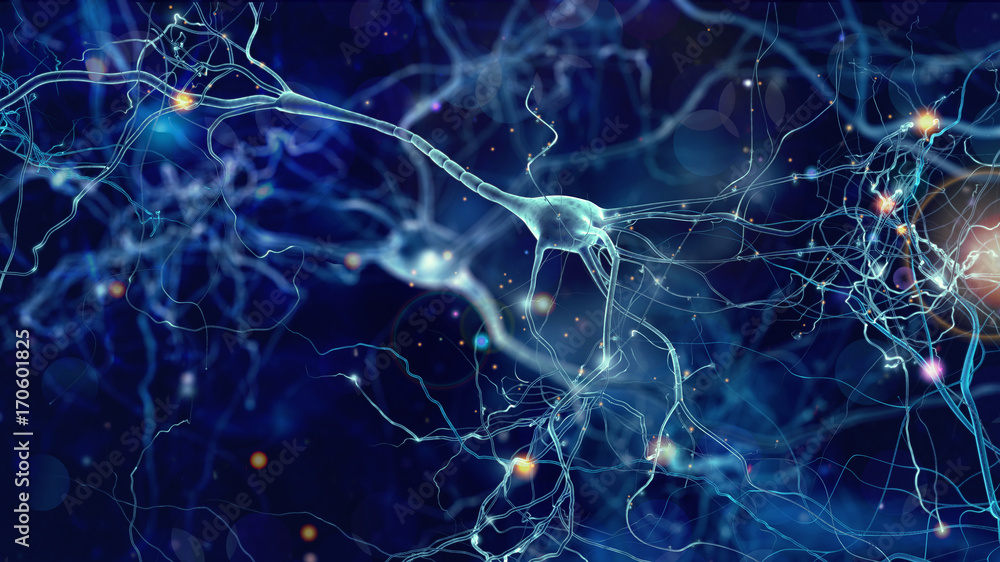 Neurons cells concept - obrazy, fototapety, plakaty 