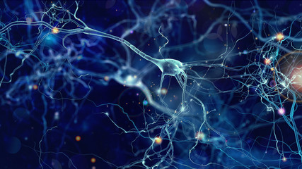 neurons cells concept