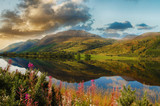 Fototapeta Nowy Jork - epic scenic loch in the scottish highlands. beautiful landscape from scotland with mountains, flowers and a loch with water reflections