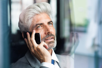 Wall Mural - Mature businessman with smartphone in the office.