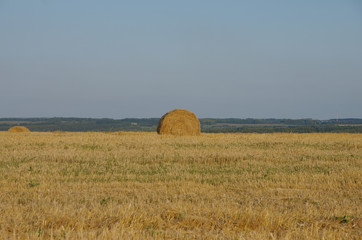 Poster - Round bale in field. Photo taken on sunset.