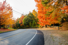 Curve Along A Road Lined With Colourful Trees In Autumn. 