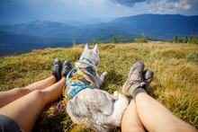 Legs Of Traveler Sitting Mountain In Travel Dog