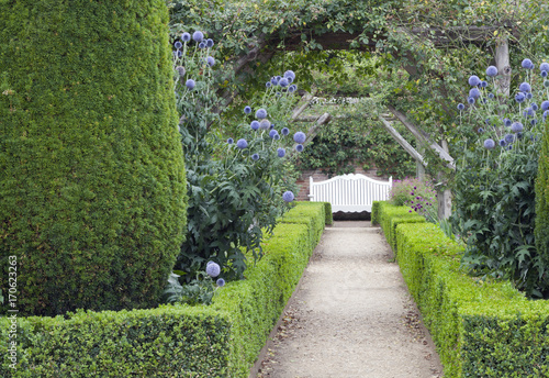 Plakat Biała drewniana ławka na końcu ścieżki pod łukiem różanym, między obszyty żywopłot, niebieskie i różowe kwiaty w angielskim letnim ogrodzie.