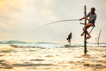 The European Tourist Is Engaged In Traditional Fishing On Poles In The Indian Ocean. Sri Lanka.