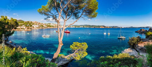 Fotomural Idyllic panorama island scenery of bay with boats at Cala Fornells on Majorca is