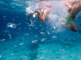 Fototapeta Łazienka - underwater photo with kids swimming along with fish