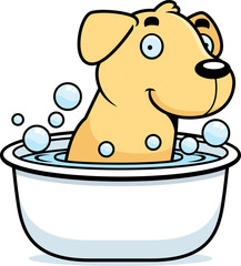 Canvas Print - Cartoon Labrador Bath