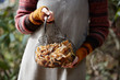 © Trinette Reed/Stocksy - Woman mushroom foraging in the forest for chanterelle mushrooms