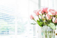 Bouquet Of Light Bright Pink Roses Macro Closeup With Blinds On Window And Sunlight, Glass Vase On Kitchen Room Table