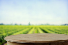 Empty Rustic Top Wood Table At Gripening Soybean Field. For Agricultural Or Product Display Montage.