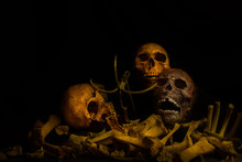 Awesome Pile Of Skull Human And Bone On Wooden, Black Cloth Background. Still Life Style, Selective Focus,