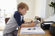 © Monkey Business - Boy Sits At Desk In Bedroom With Digital Tablet Doing Homework