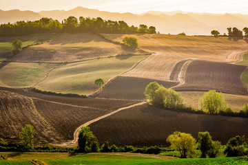 Wall Mural - Stunning beautiful landscape view of Tuscany fields at Barberino di Mugello in the Italian region Tuscany in summer