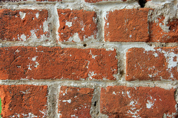 Wall Mural - high quality texture of oldest red brick masonry with white cement mortar closeup