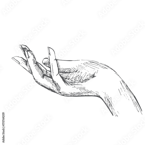 Hand Open Palm Illustration In Sketch Style Hand Drawn Vector Illustrations Stock Vector Adobe Stock