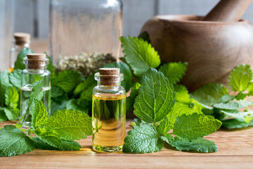 Wall Mural - A bottle of melissa essential oil with fresh melissa leaves