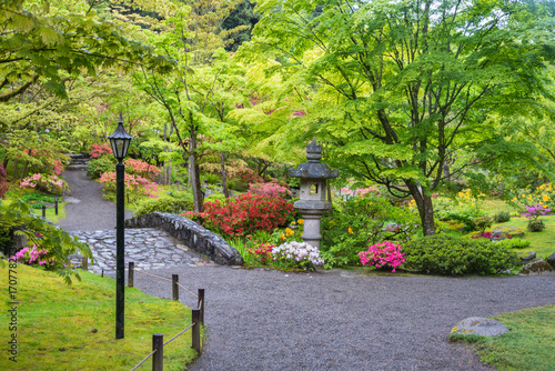 Japanese Garden Landscape On A Rainy Spring Day With Stone Bridge