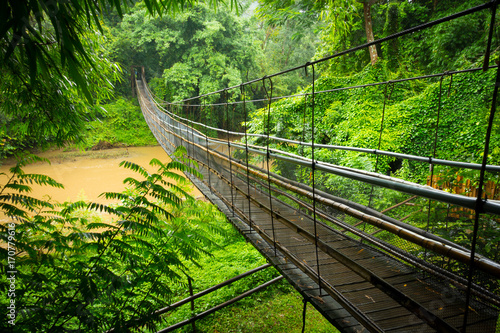 Naklejka most w dżungli   most-wiszacy-w-dzungli-w-poblizu-chiang-mai