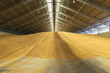 © Luis Cerdeira/Stocksy - Dried corn grains in a warehouse