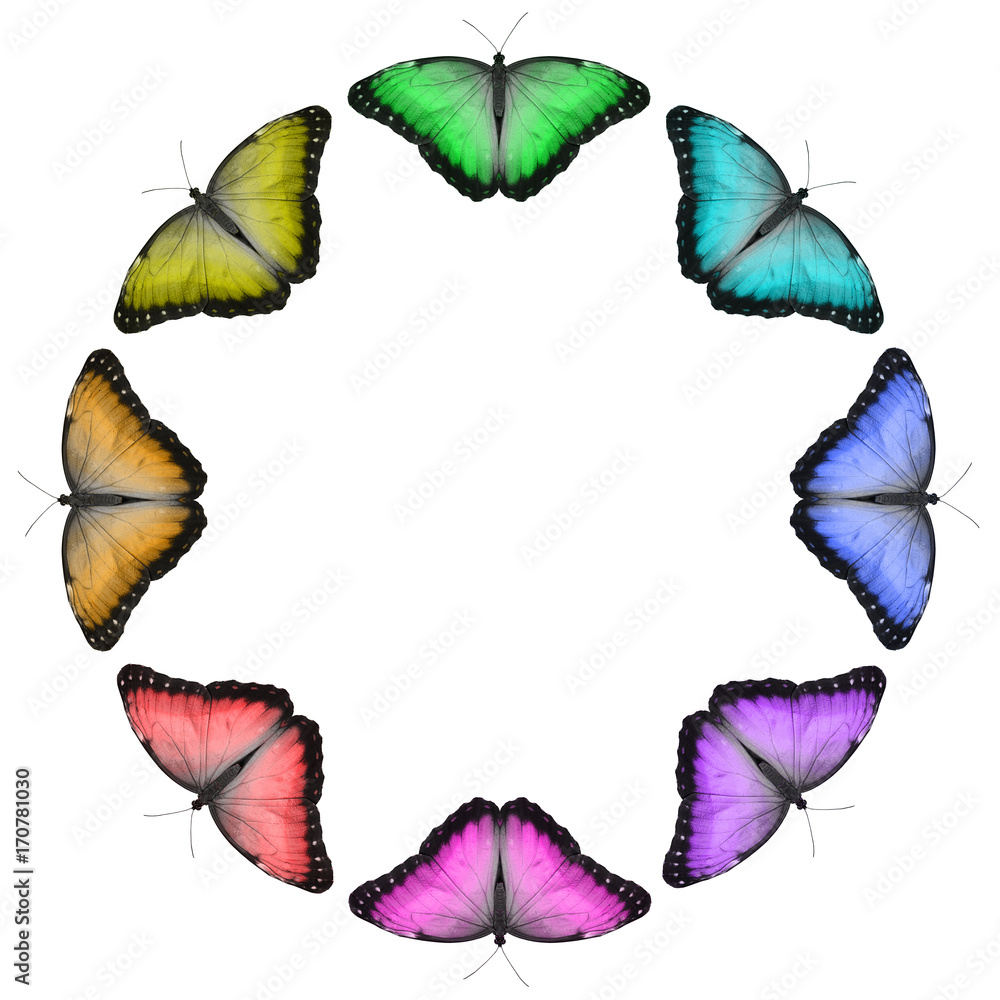 Pink Purple Blue Butterfly Butterfly HD phone wallpaper | Pxfuel, image size:1000x1000