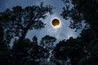 Scientific natural phenomenon. Total solar eclipse with diamond ring effect.