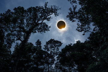 Wall Mural - Scientific natural phenomenon. Total solar eclipse with diamond ring effect.