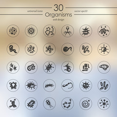 Poster - Set of organisms icons