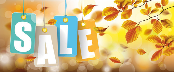 Wall Mural - autumn price stickers sale beech foliage header