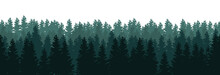 Silhouettes Of Trees In The Forest On White Background - Seamless Vector Panorama