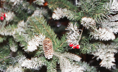 lump on a pile of fir tree branches in winte