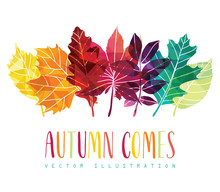  Hand Drawn Leaves Composition. Autumn Background. Vector Illustration.