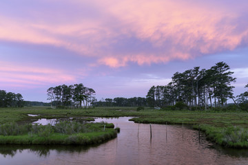 Wall Mural - Colorful Sky and Clouds Along Coastal Wetlands