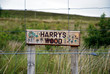 harrys wood - scotland