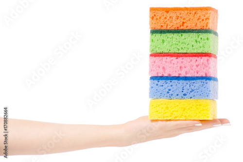 Female Hand Kitchen Dish Sponge For Washing Dishes Stock Photo Adobe Stock